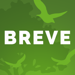 Breve