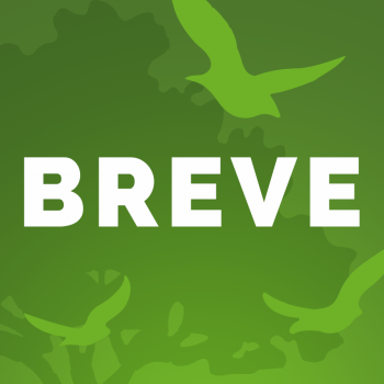 Breve